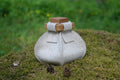 WHITE SCANDINAVIAN URN - LARGE ECO-FRIENDLY URN